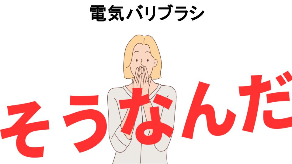 意味ないと思う人におすすめ！電気バリブラシの代わり